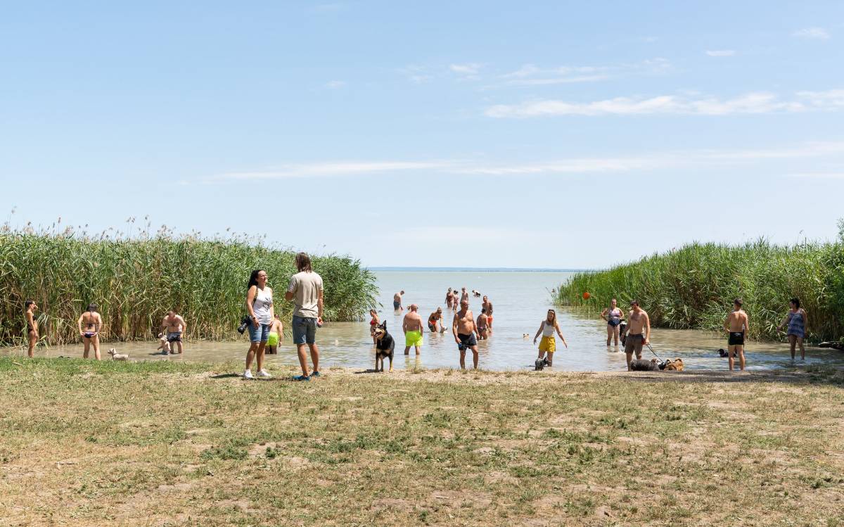 keszthelyi-kutyas-park-es-piknikkert-strand-elmeny-kutyusoknak-es-gazdiknak keszthelyi-kutyas-park-es-piknikkert-strand-elmeny-kutyusoknak-es-gazdiknak
