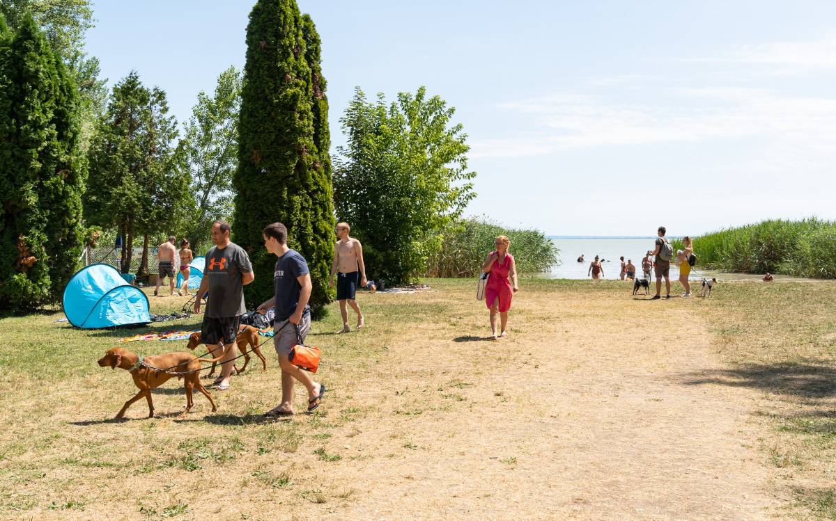 keszthelyi-kutyas-park-es-piknikkert-strandolas-kiskedvencekkel keszthelyi-kutyas-park-es-piknikkert-strandolas-kiskedvencekkel